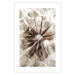 Poster Close to Nature - summer composition with a delicate dandelion flower 135825 additionalThumb 23