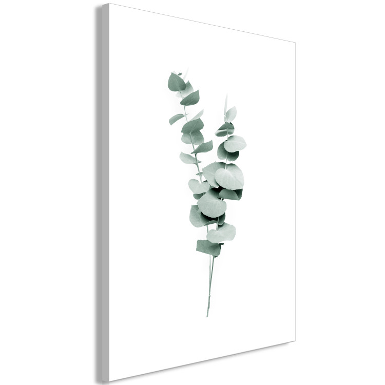 Canvas Eucalyptus Twigs - Minimalist Plant Leaves on a White Background 146125 additionalImage 2