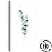 Canvas Eucalyptus Twigs - Minimalist Plant Leaves on a White Background 146125 additionalThumb 6