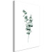 Canvas Eucalyptus Twigs - Minimalist Plant Leaves on a White Background 146125 additionalThumb 2