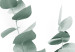 Canvas Eucalyptus Twigs - Minimalist Plant Leaves on a White Background 146125 additionalThumb 4