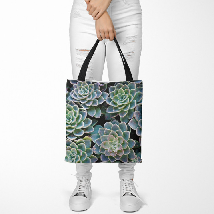 Shopping Bag Symmetry of succulents - a plant composition with rich detailing 148525 additionalImage 2