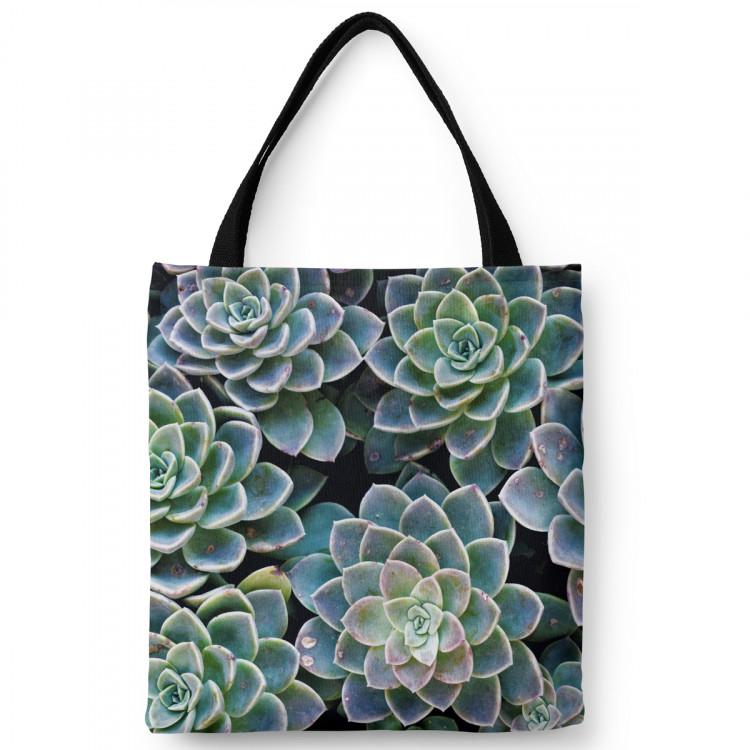 Shopping Bag Symmetry of succulents - a plant composition with rich detailing 148525