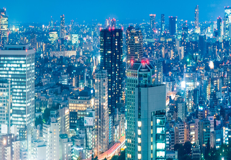 Large canvas print Tokyo: City of Tower Blocks [Large Format] 148825 additionalImage 5