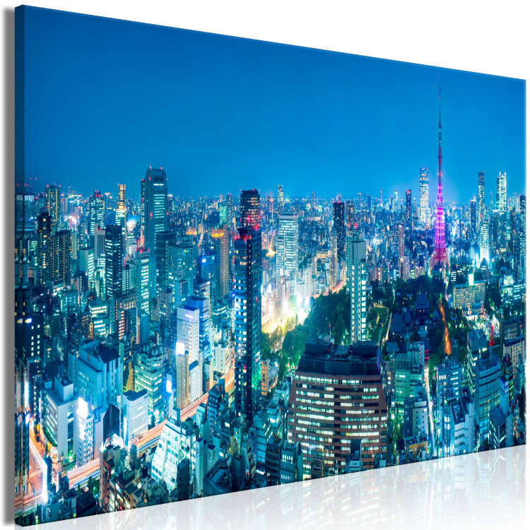 Large canvas print Tokyo: City of Tower Blocks [Large Format] 148825 additionalImage 2