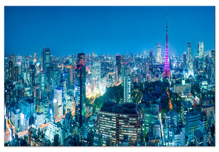 Large canvas print Tokyo: City of Tower Blocks [Large Format] 148825
