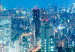 Large canvas print Tokyo: City of Tower Blocks [Large Format] 148825 additionalThumb 5