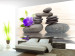 Wall Mural Rest of orchid 61425