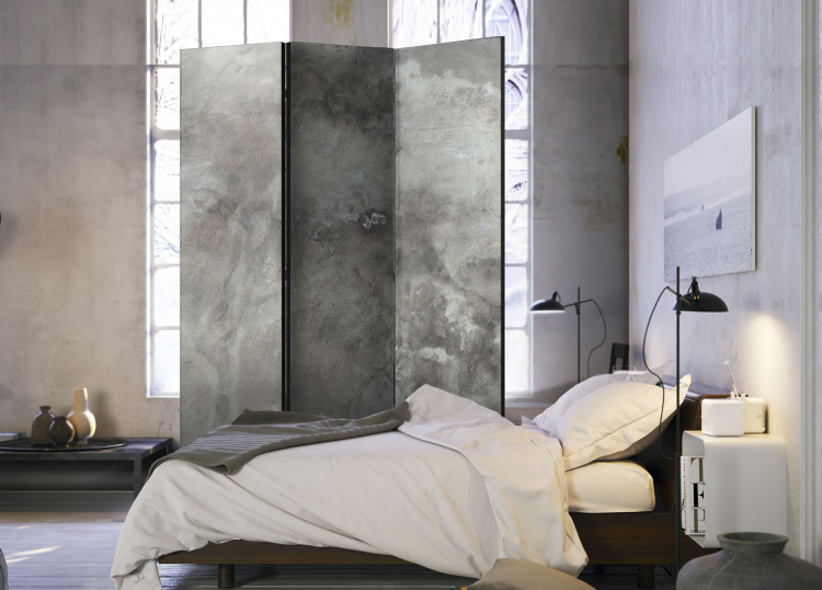 Room Divider Screen Hail Cloud - gray texture in dark urban concrete shade 95225 additionalImage 2