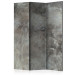 Room Divider Screen Hail Cloud - gray texture in dark urban concrete shade 95225