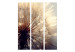 Room Divider Dandelion Kiss - romantic white flower in the glow of summer sun 95425 additionalThumb 3