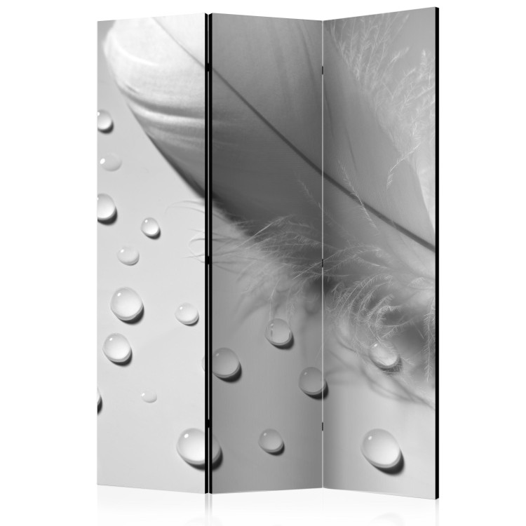 Room Divider White Feather - romantic feather with water droplets in gray motif 97425