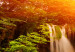 Canvas Nature: Magnificent Waterfall 97525 additionalThumb 5
