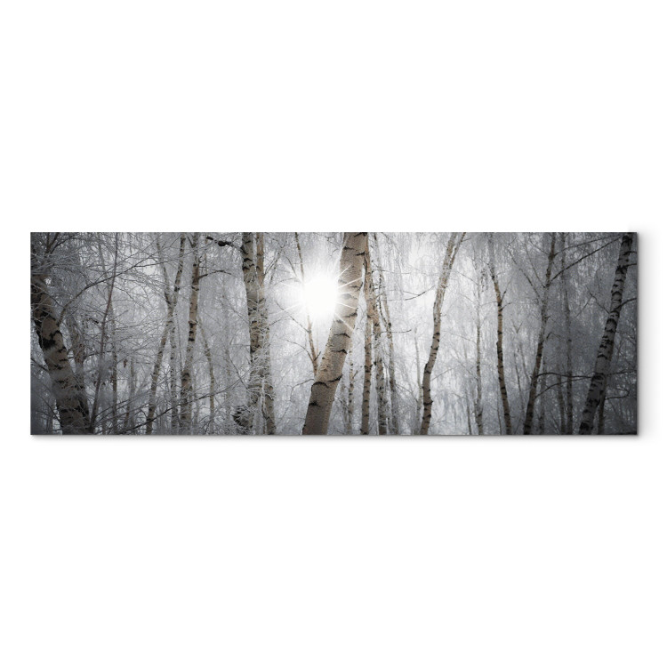 Canvas Print Winter Forest - Landscape of White Trees in Winter Season 98025 additionalImage 7
