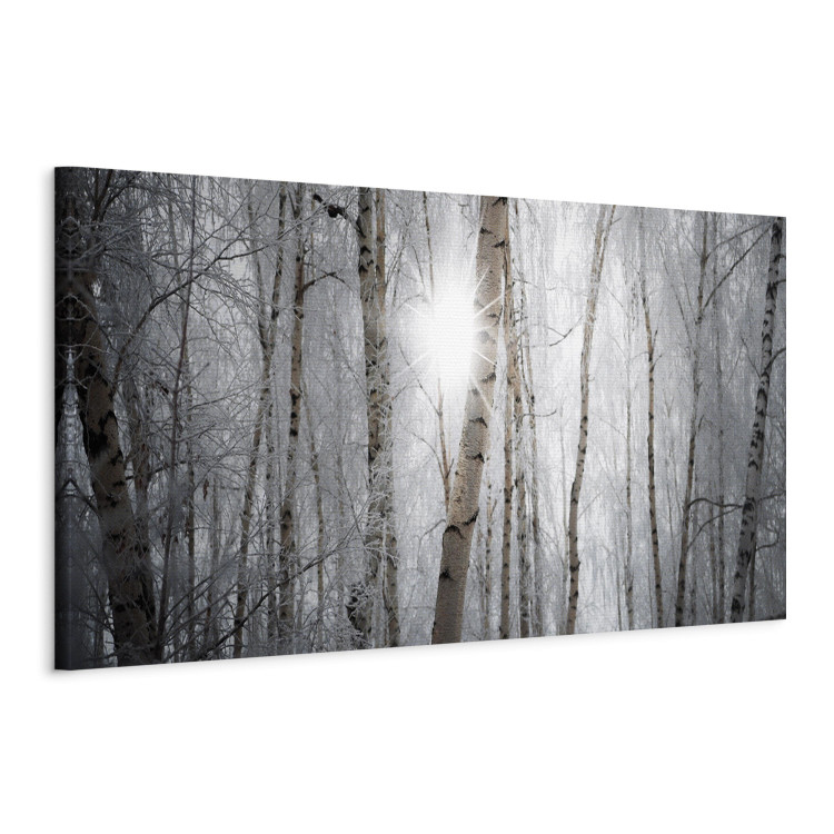 Canvas Print Winter Forest - Landscape of White Trees in Winter Season 98025 additionalImage 2