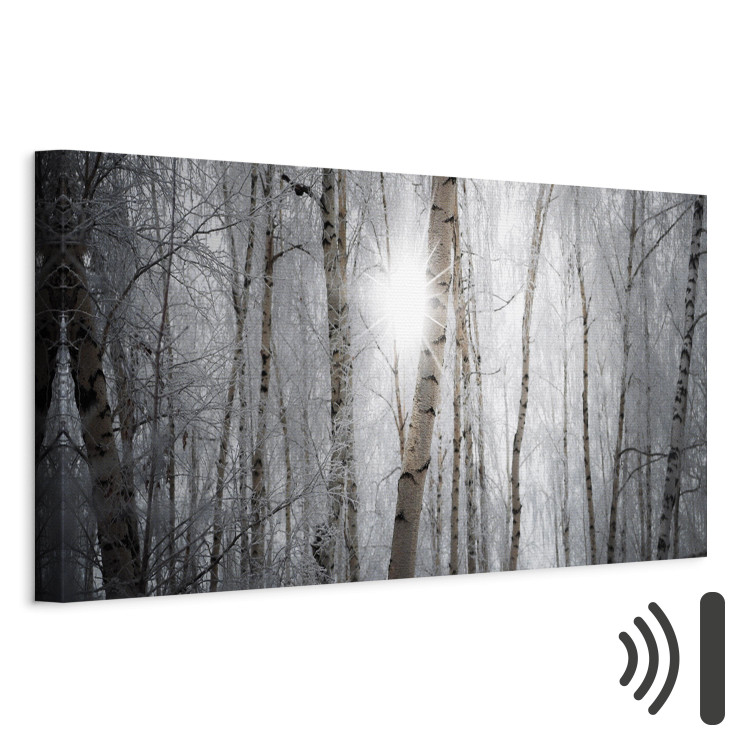 Canvas Print Winter Forest - Landscape of White Trees in Winter Season 98025 additionalImage 8