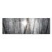 Canvas Print Winter Forest - Landscape of White Trees in Winter Season 98025 additionalThumb 7
