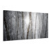Canvas Print Winter Forest - Landscape of White Trees in Winter Season 98025 additionalThumb 2