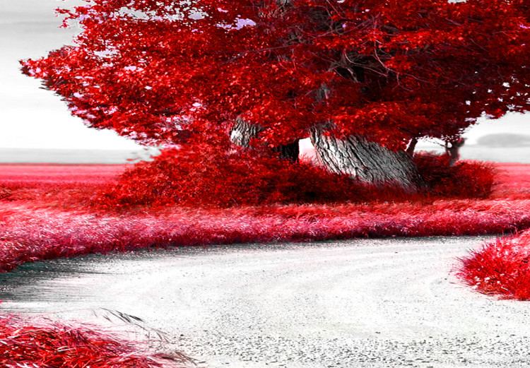 Canvas Art Print Lonely Tree (5-part) - Fantasy of Red Tree 107735 additionalImage 5