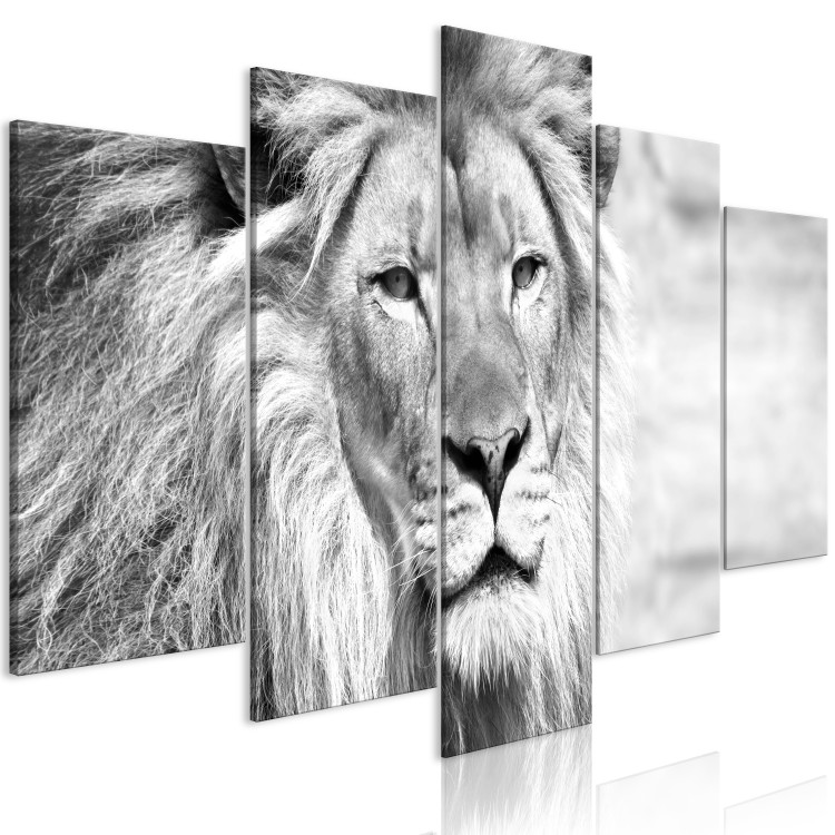 Canvas Lion King (5-part) Wide Black and White - African Wild Cat 108235 additionalImage 2
