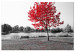 Canvas Print Autumn Tone (1-part) - Gray Photo of Red Tree 117135