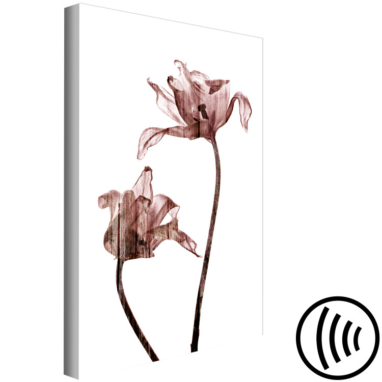 Canvas Art Print Drawn tulips - flowers in a delicate brown color on a white background 118235 additionalImage 6