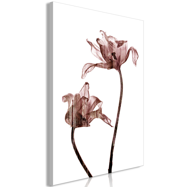 Canvas Art Print Drawn tulips - flowers in a delicate brown color on a white background 118235 additionalImage 2