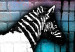 Canvas Print Washing Zebra - Colourful Brick (1 Part) Wide 118535 additionalThumb 4