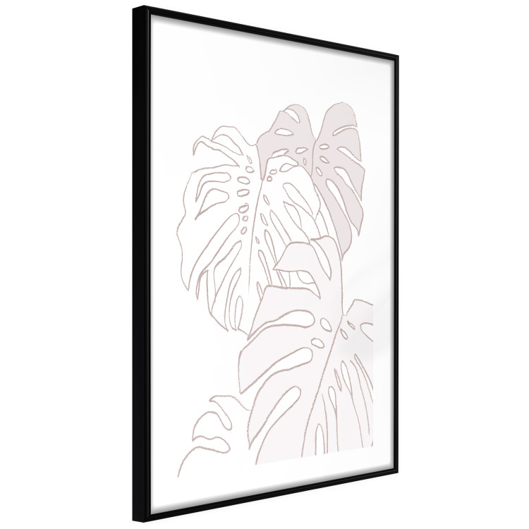 Wall Poster Creamy Monstera - botanical sketches of several monstera leaves on a white background 123135 additionalImage 11