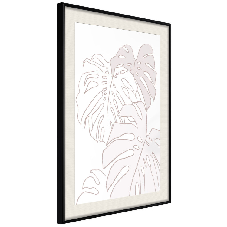 Wall Poster Creamy Monstera - botanical sketches of several monstera leaves on a white background 123135 additionalImage 3