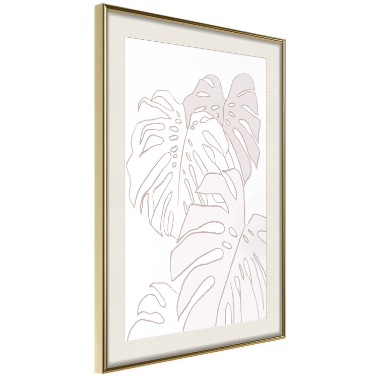 Wall Poster Creamy Monstera - botanical sketches of several monstera leaves on a white background 123135 additionalImage 2