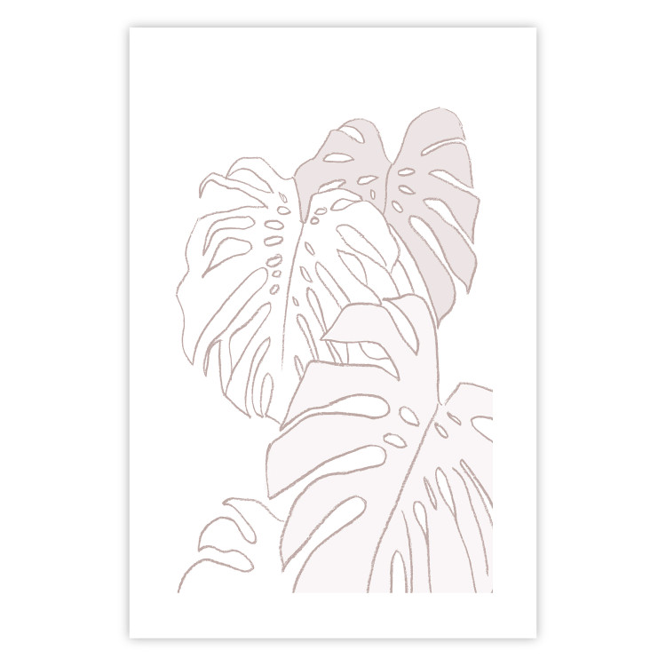 Wall Poster Creamy Monstera - botanical sketches of several monstera leaves on a white background 123135 additionalImage 25