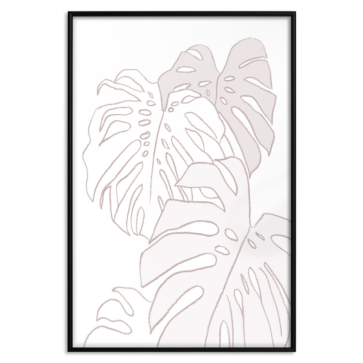 Wall Poster Creamy Monstera - botanical sketches of several monstera leaves on a white background 123135 additionalImage 24