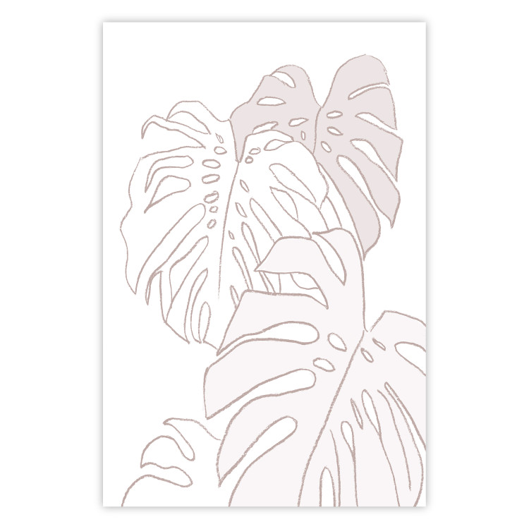 Wall Poster Creamy Monstera - botanical sketches of several monstera leaves on a white background 123135