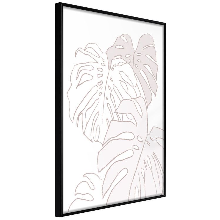Wall Poster Creamy Monstera - botanical sketches of several monstera leaves on a white background 123135 additionalImage 10