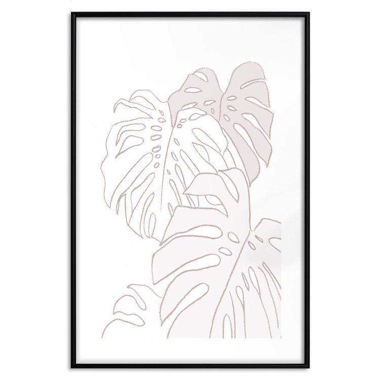 Wall Poster Creamy Monstera - botanical sketches of several monstera leaves on a white background 123135 additionalImage 17