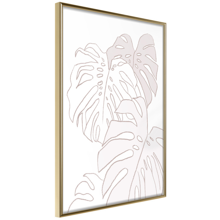 Wall Poster Creamy Monstera - botanical sketches of several monstera leaves on a white background 123135 additionalImage 12