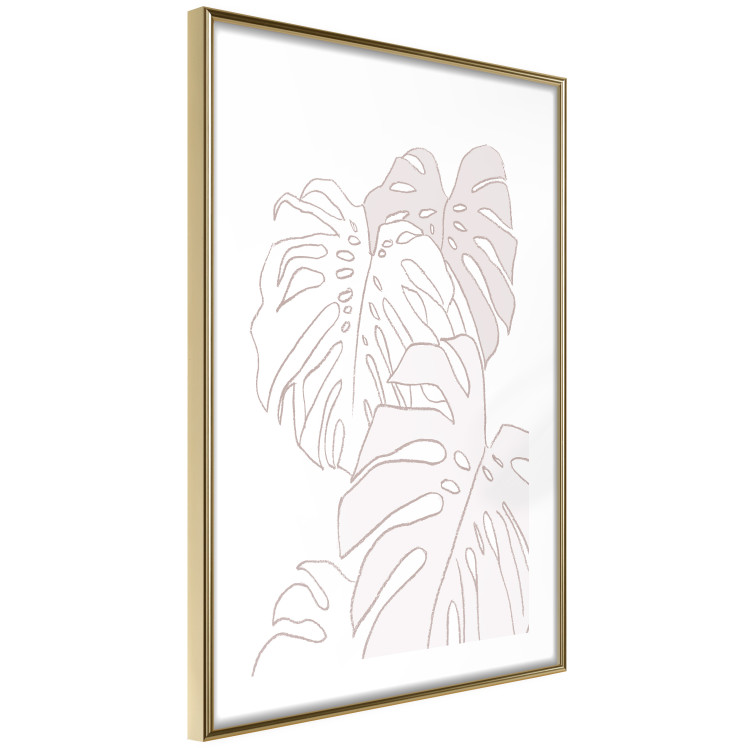 Wall Poster Creamy Monstera - botanical sketches of several monstera leaves on a white background 123135 additionalImage 6
