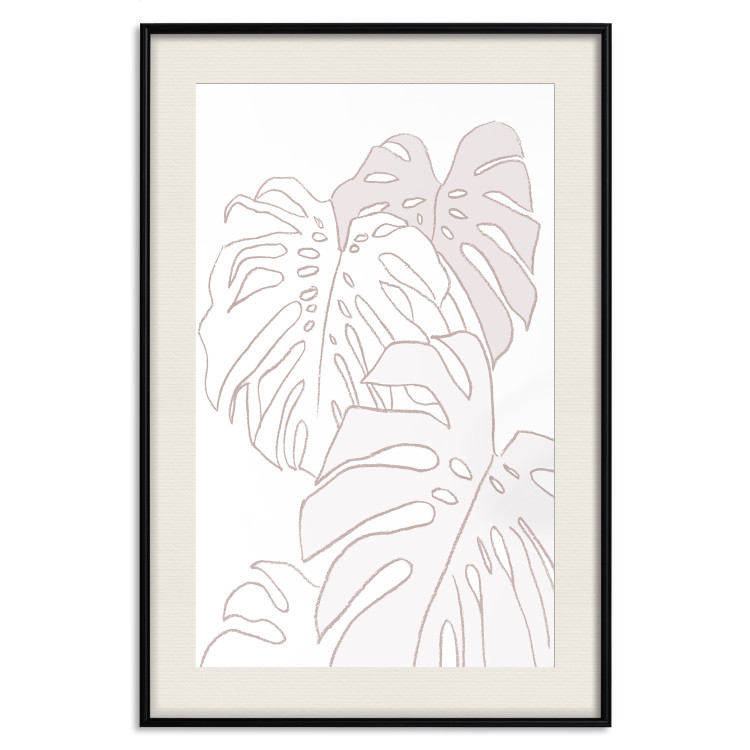 Wall Poster Creamy Monstera - botanical sketches of several monstera leaves on a white background 123135 additionalImage 18