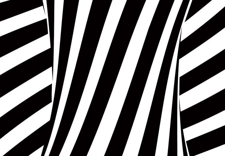 Poster Deep Hypnosis - black and white abstract illusion with hypnotic effect 123935 additionalImage 9