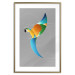 Poster Parrot in Circles - abstract colorful bird made of geometric figures 126935 additionalThumb 19