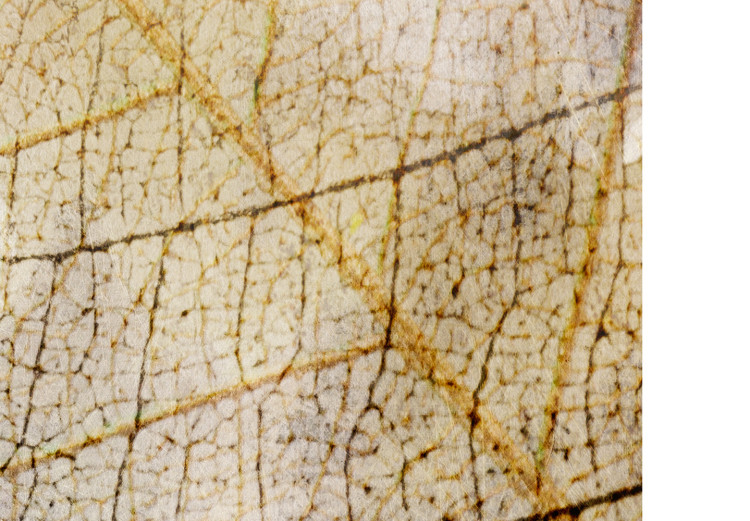 Wall Poster Full Growth - abstract pattern composition on leaf texture 127835 additionalImage 11