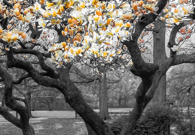 Large canvas print Magnolia Park - Orange [Large Format] 128635 additionalImage 3