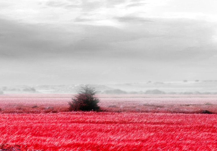 Large canvas print Tree near the Road - Red [Large Format] 128735 additionalImage 4