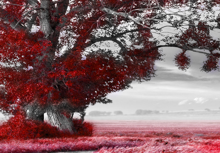 Large canvas print Tree near the Road - Red [Large Format] 128735 additionalImage 3