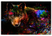 Canvas Print Colorful Shadow (1-part) wide - abstract multicolored wolf 129035