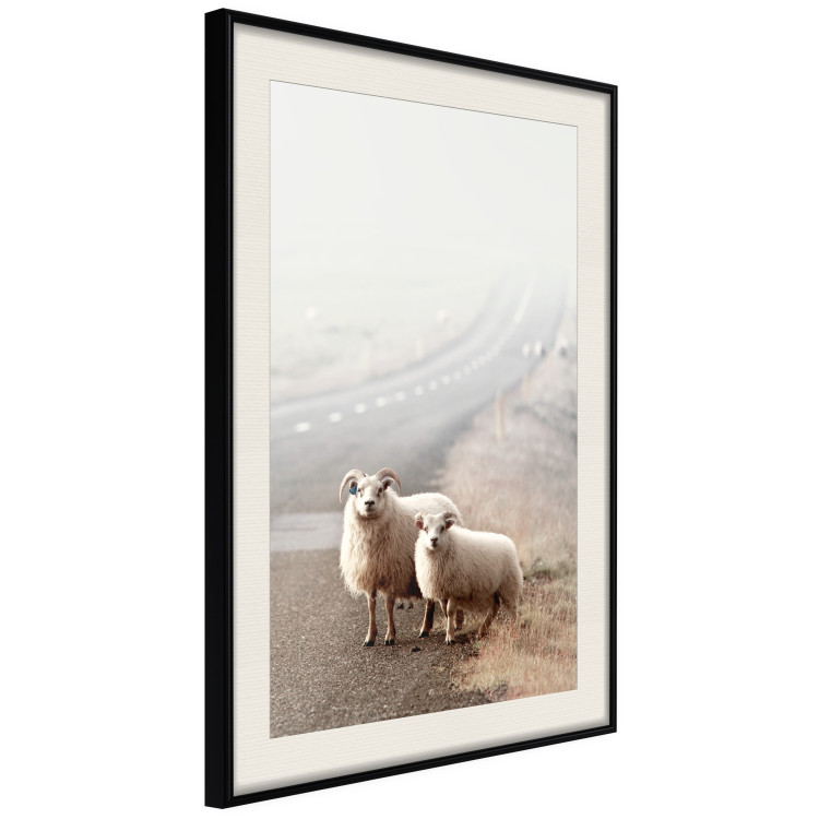 Poster Extraordinary Hitchhikers - landscape of animals by the road against a field 130235 additionalImage 3