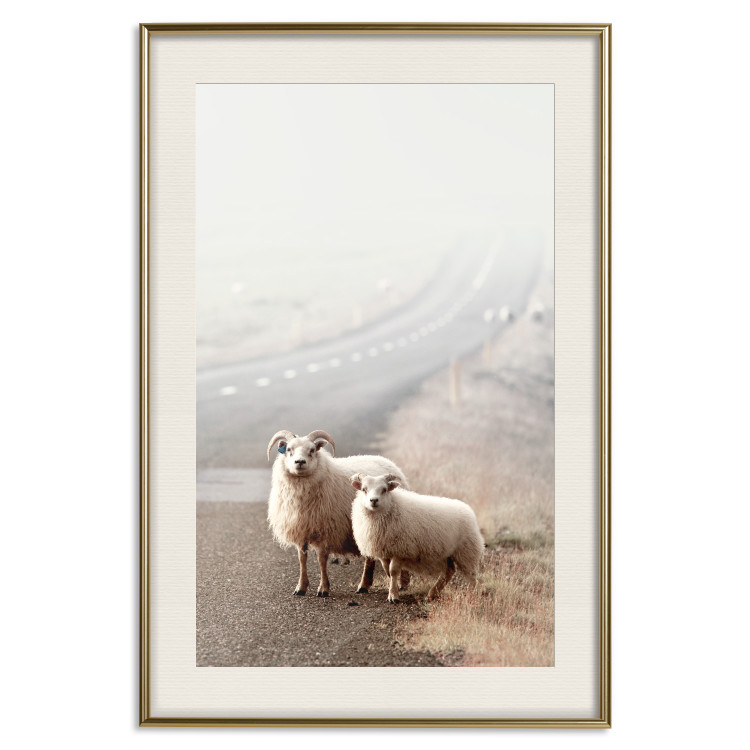 Poster Extraordinary Hitchhikers - landscape of animals by the road against a field 130235 additionalImage 20