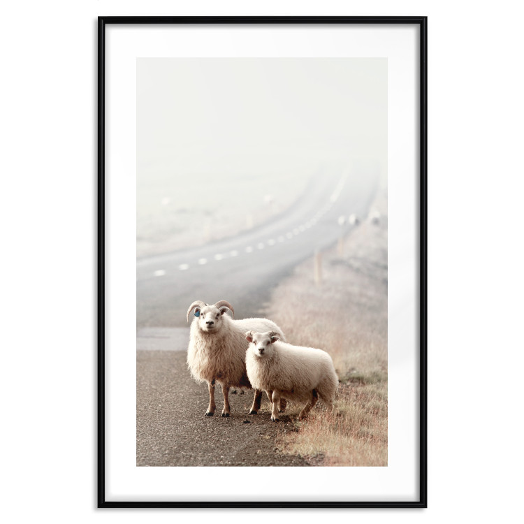 Poster Extraordinary Hitchhikers - landscape of animals by the road against a field 130235 additionalImage 15