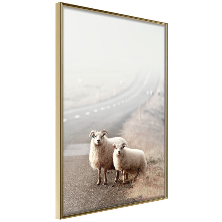 Poster Extraordinary Hitchhikers - landscape of animals by the road against a field 130235 additionalImage 6